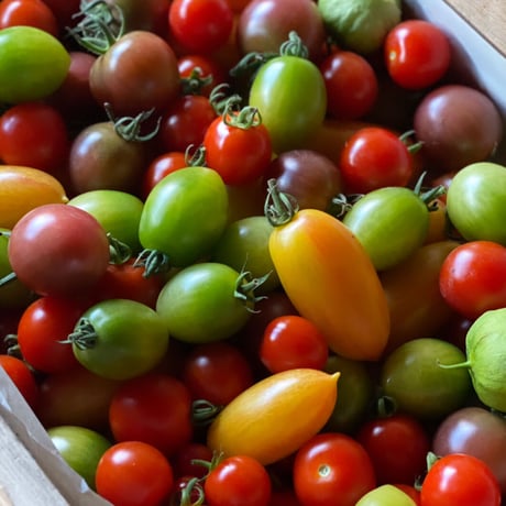 季節の自然栽培野菜BOX・S サイズ