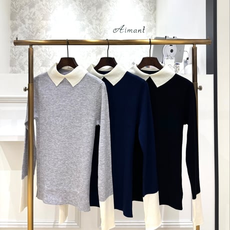 CATEGORY C'EST MOIJEU | Aimant-エマン