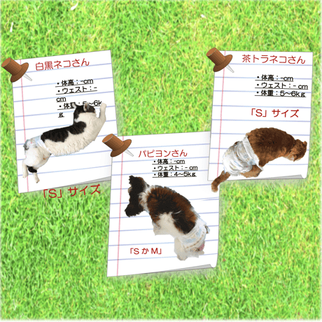 サイズの選び方