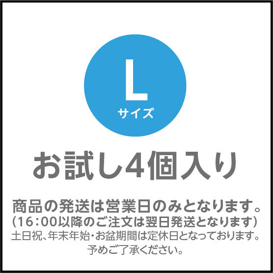 L 】サイズ お試し4個入り ※ 送料無料 | WANCHI