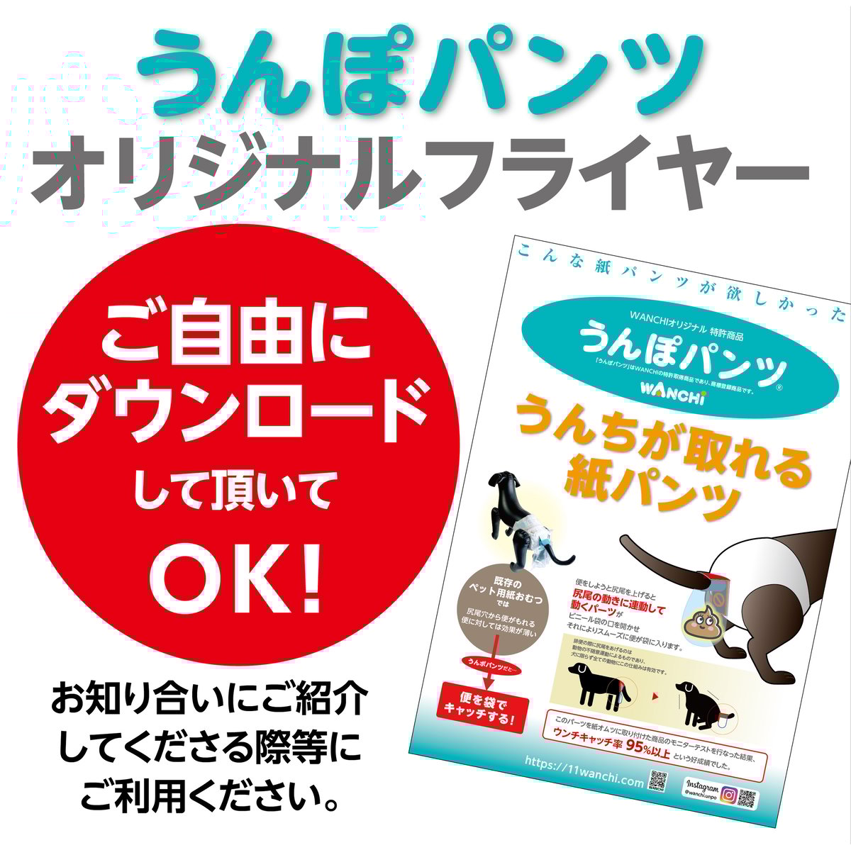 WANCHIうんぽパンツオリジナルフライヤー | WANCHI