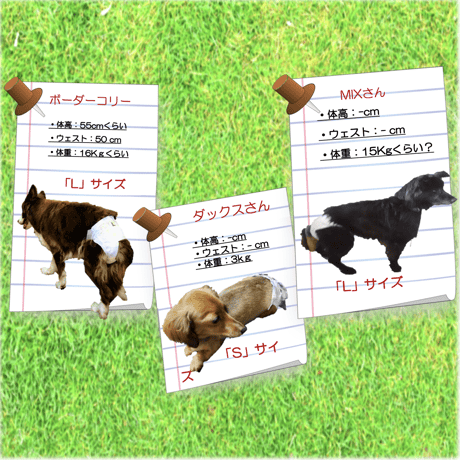 サイズの選び方