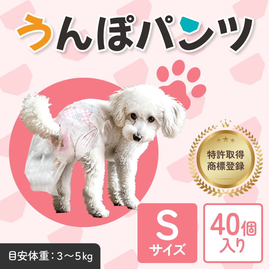 S】サイズ 40枚入り ※送料無料 ※税込 | WANCHI