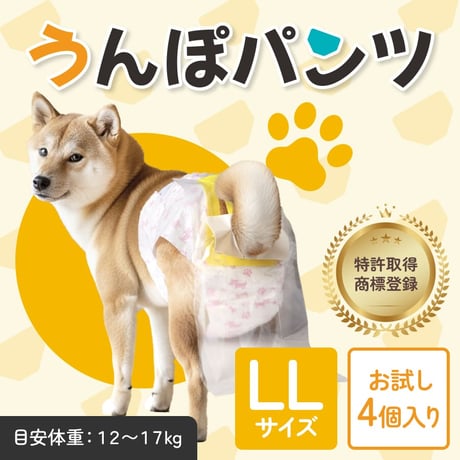 【LL】サイズ 　お試し4枚入り 　※ 送料無料　※税込