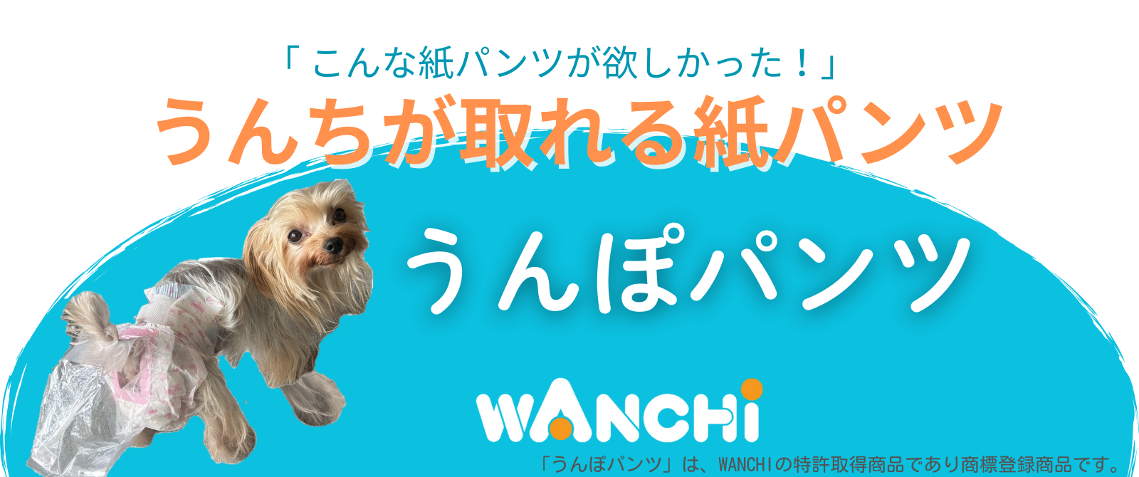 【☆かおち☆】ページ　　リクエスト商品のため 8abd0c8377ecc0c44a28aa0360468f