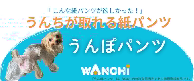 うんぽパンツSサイズ2パック➕13枚 Amazon.co.jp: うんぽパンツ M・32枚 オムツ うんちポケット