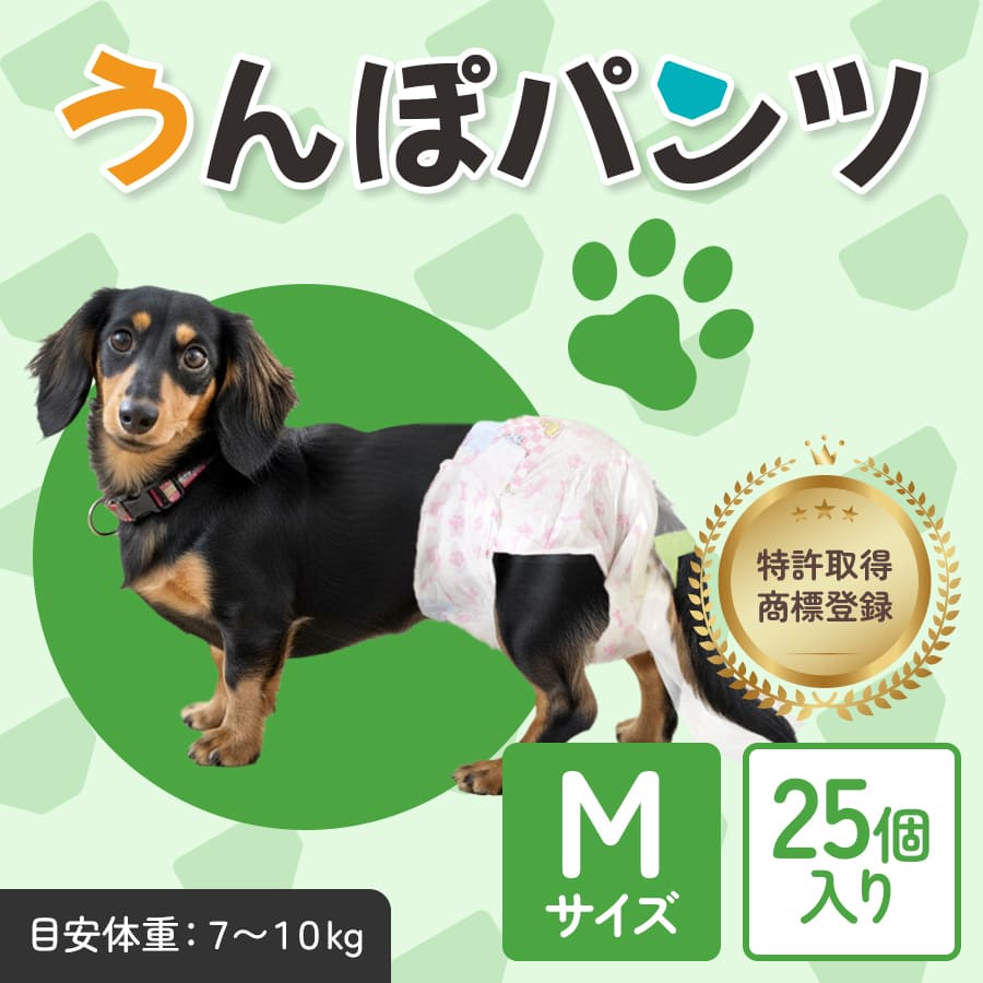 M】サイズ 25個入り ※送料無料 ※税込 | WANCHI