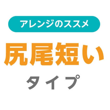 アレンジ　尻尾短いタイプ