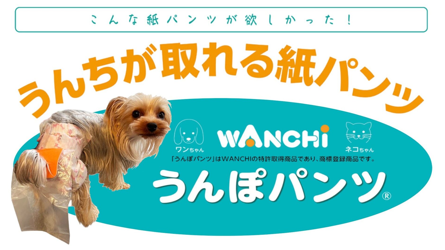 WANCHI うんぽぱんつ　S PEPPY うんぽパンツ S・16枚 犬 おむつ うんち 便 介護
