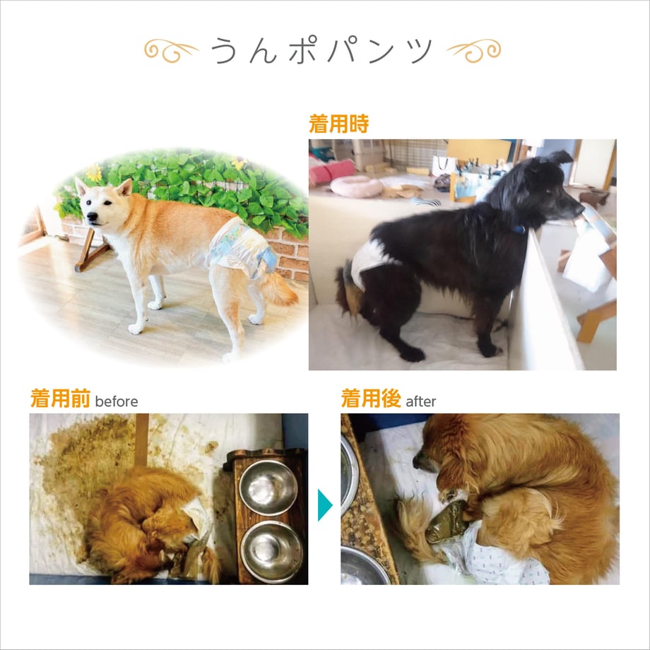 5dfcff91a551d5146da2c07a