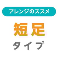 アレンジ・短足タイプ
