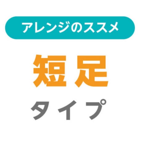アレンジ・短足タイプ