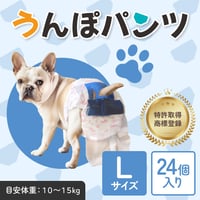 【 L 】サイズ  24枚入り　※送料無料　※税込