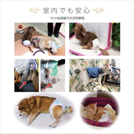 うんぽとは