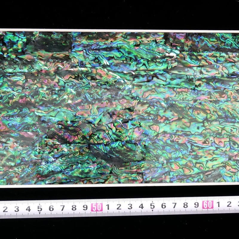 あわびの形の皿 （5枚） awabi ware｜楕円小皿