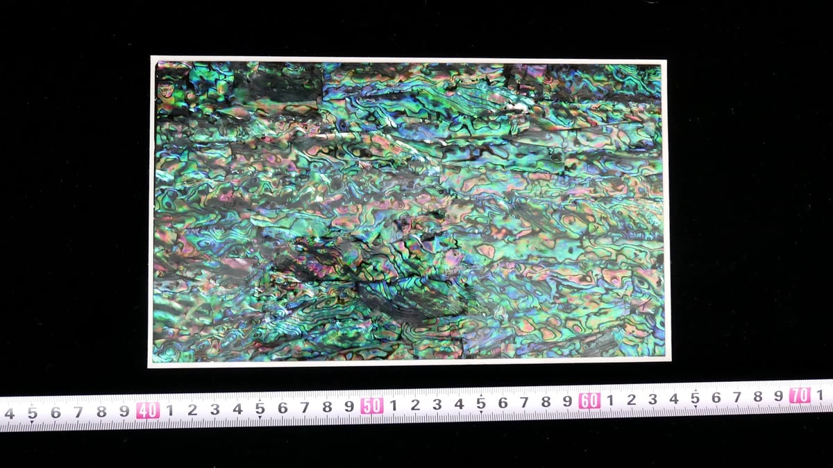 あわびの形の皿 （5枚） アワビ型の小皿 - メルカリ