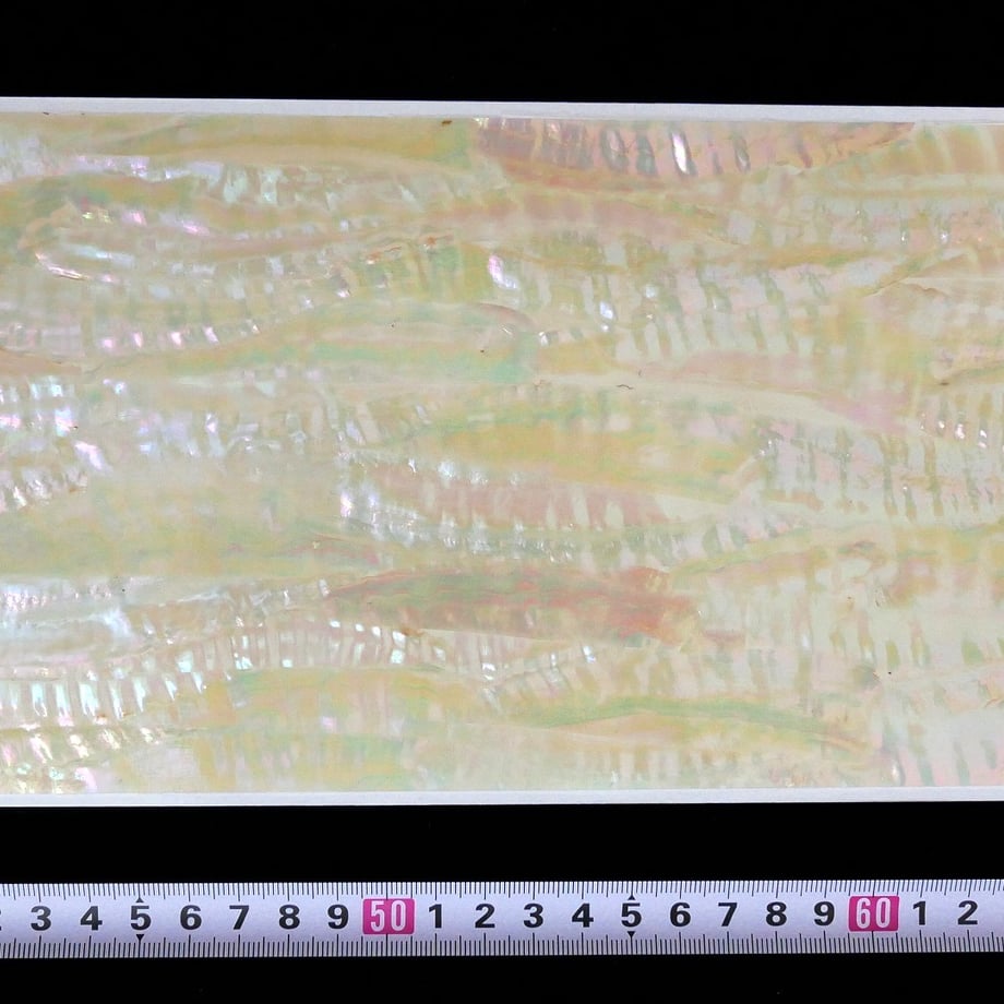 5d1066e037587406d18574ff