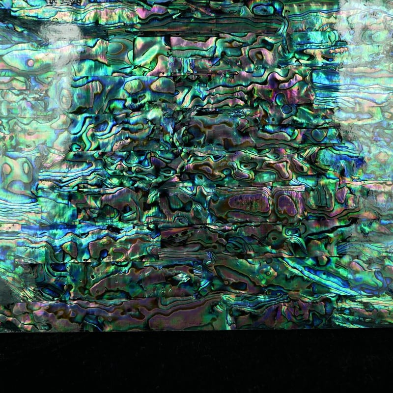 NZアワビ黒螺鈿箔Lサイズ シール加工で便利。はさみで切れます