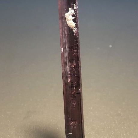 トルマリン シトリン 時計 925 0170 タンザナイト CATEGORY トルマリン