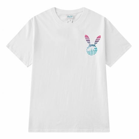 ユニセックス 半袖 Tシャツ メンズ レディース うさぎモチーフ 英字 ヤシの木 車 プリント オーバーサイズ 大きいサイズ ルーズ ストリート TBN-601743728424