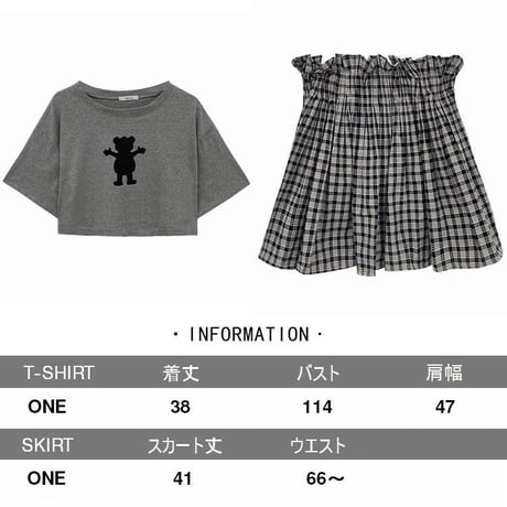 【セットアップ】 クロップド丈Tシャツ ＋ チェック柄 プリーツスカート 韓国ファッション レディース 2点セット 半袖 トップス ミニスカート ハイウエスト DTC-619171525060