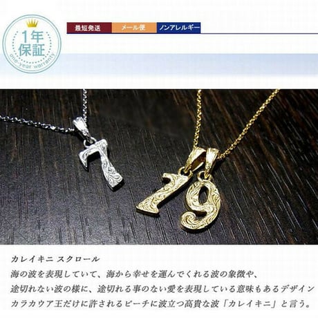 ハワイアンジュエリー ネックレス ナンバー 数字 K14ゴールド ステンレス インスタ (gps81082)