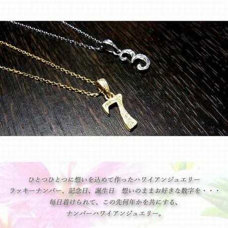 ハワイアンジュエリー ネックレス ナンバー 数字 K14ゴールド ステンレス インスタ (gps81082)