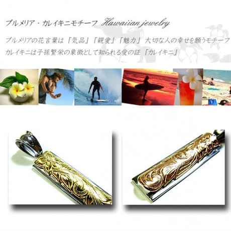【ハワイアンジュエリー / HawaiianJewelry】 ペンダントプレート ネックレス プルメリア スクロール ホヌ (gps8793)