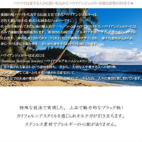 【片耳用】 ハワイアンジュエリー ピアス 金属アレルギー対応 オルテガ柄 カレイキニ スクロール メンズ レディース サージカルステンレス アクセサリー ges8169