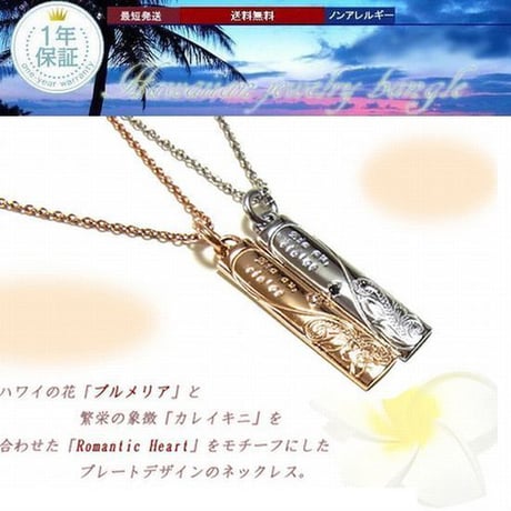 ハワイアンジュエリー HawaiianJewelry プレートネックレス 金属アレルギー対応 プルメリア キュービックジルコニア メンズ レディース サージカルステンレス Gps8779-8780