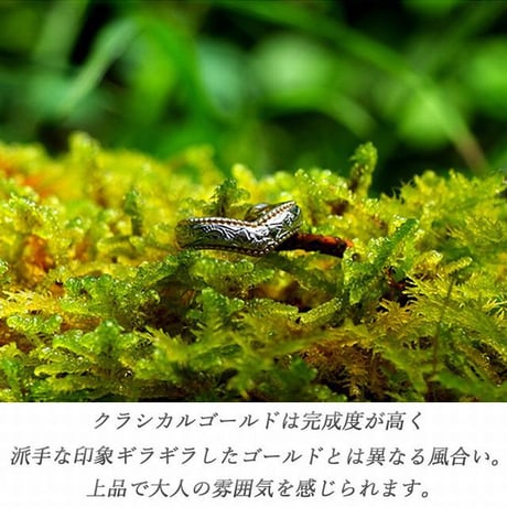 ハワイアンジュエリー イヤーカフ 片耳用 金属アレルギー対応 スクロール プルメリア ハワジュ サージカル ステンレス PVD インスタ ges8236
