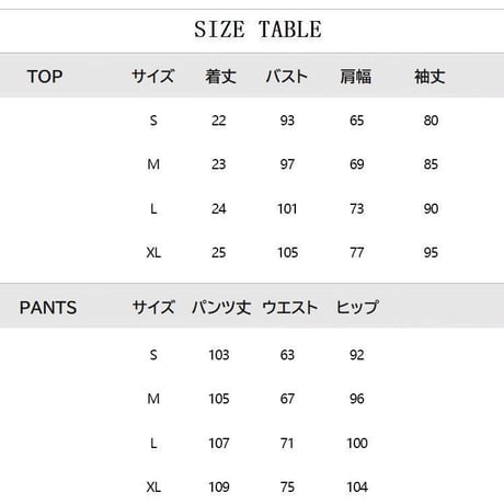 セットアップ 上下セット ストライプ柄 トップス ワイドパンツ 2way Vネック オフショルダー ブラウス ボトムス 長袖 レトロ 大人可愛い ガーリー DTCA-886455915338