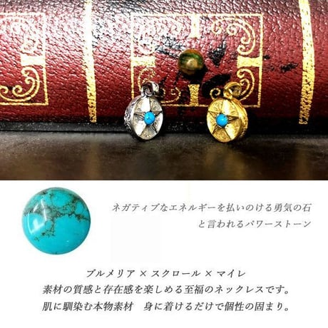 ハワイアンジュエリー ターコイズ ネックレス 星 スター コイン 石 サージカルステンレス メンズ レディース ペア インスタ (gps81121)
