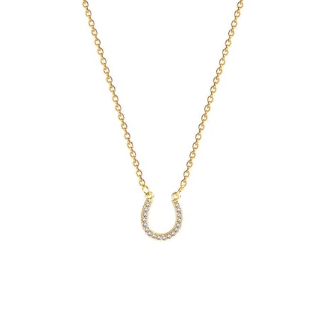ネックレス ホースシュー 馬蹄 CZ 金属アレルギー対応 チェーン付き U字 ペンダント アクセサリー チタン メッキ シンプル ジュエリー DTC-a652504161020