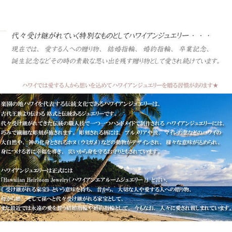 【ハワイアンジュエリー / HawaiianJewelry】 オーバルフープピアス【片耳用】スチールシルバー/イエローゴールド プルメリア スクロール (ges8141)