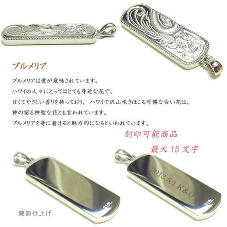 【ハワイアンジュエリー / HawaiianJewelry】 ペンダント/ネックレス プレート ネックレス プルメリア スクロール ホヌ (gps8865)
