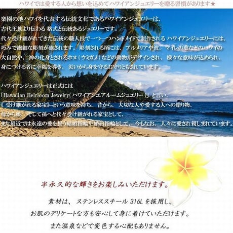 ハワイアンジュエリー ストレートライン バー ネックレス 金属アレルギー対応 スクロール 波 サージカルステンレス レディース メンズ アクセサリー gns8159