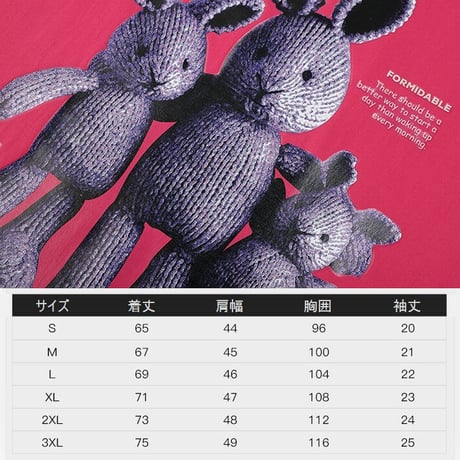 ユニセックス Tシャツ 半袖 メンズ レディース ラウンドネック ラビット うさぎ プリント オーバーサイズ 大きいサイズ ルーズ ストリート TBN-622458443446
