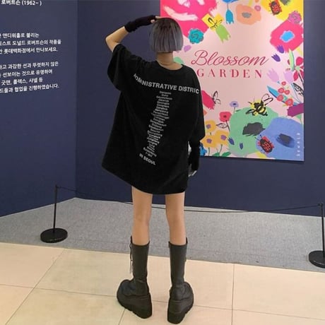 ユニセックス Tシャツ 半袖 メンズ レディース ラウンドネック シンプル 英字 バックプリント オーバーサイズ 大きいサイズ ルーズ ストリート TBN-622148257601