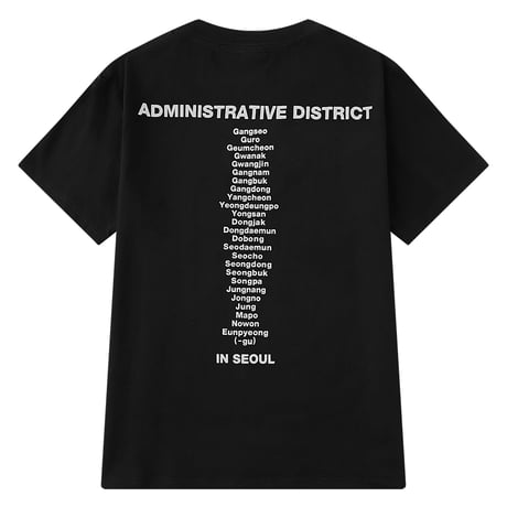 ユニセックス Tシャツ 半袖 メンズ レディース ラウンドネック シンプル 英字 バックプリント オーバーサイズ 大きいサイズ ルーズ ストリート TBN-622148257601