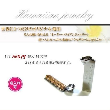 【ハワイアンジュエリー / HawaiianJewelry】 ペンダントプレート ネックレス プルメリア スクロール ホヌ (gps8793)