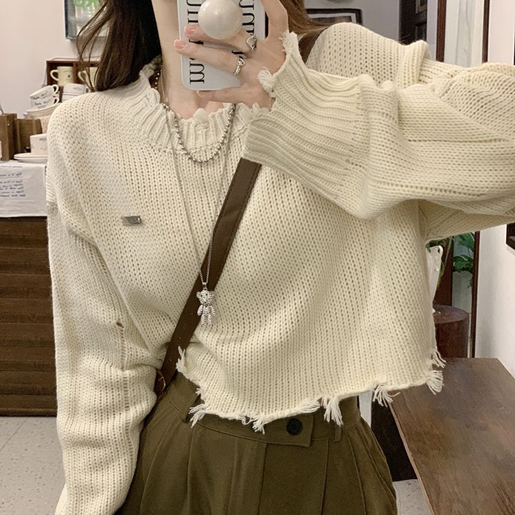 ETRO ダメージ加工ショート丈ニット エトロ fit=scale-down,w=1200