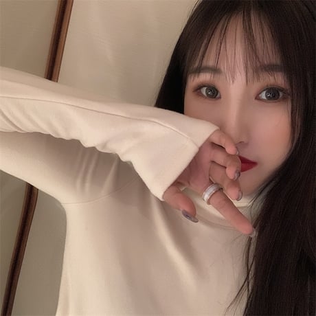 スリムフィット ハイネック カットソー 裏起毛 韓国ファッション レディース タートルネック タイト 長袖 Tシャツ 無地 レトロ (DTC-609008831719)