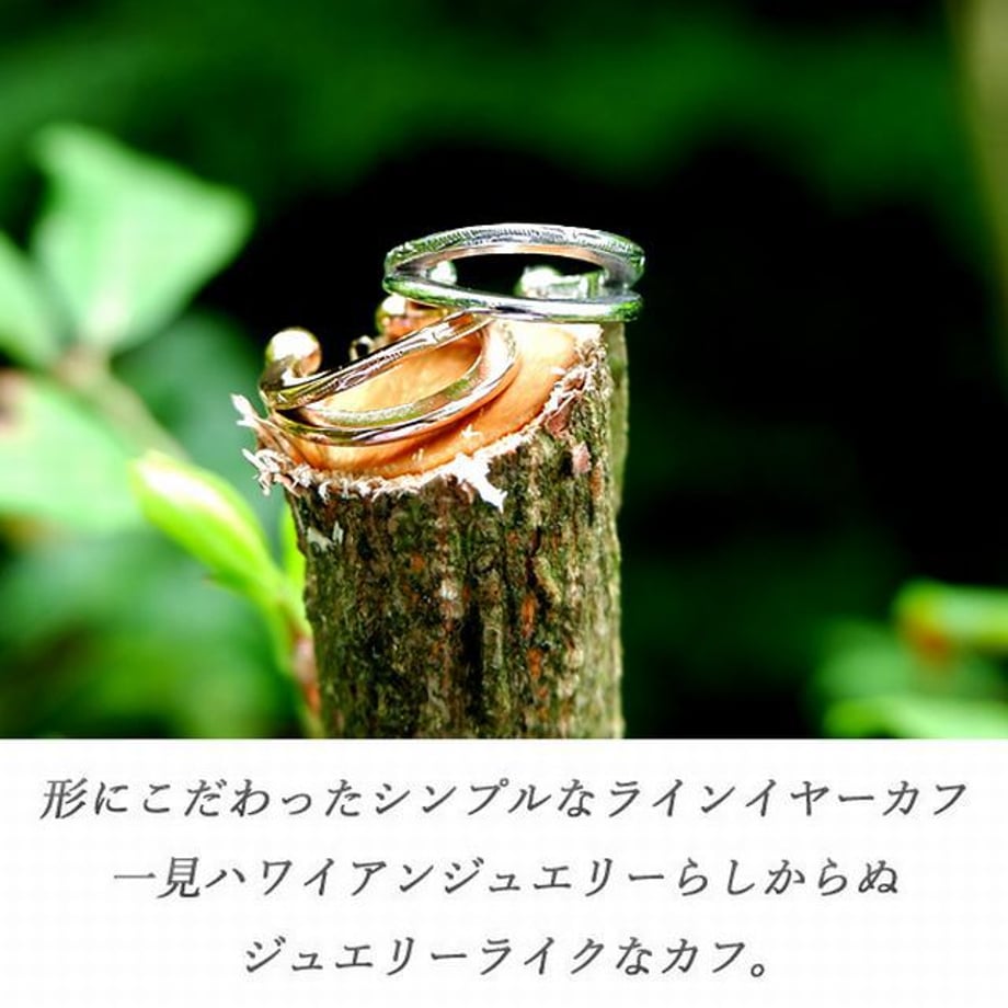 5fb811ae935fcc39d4b2bcd6