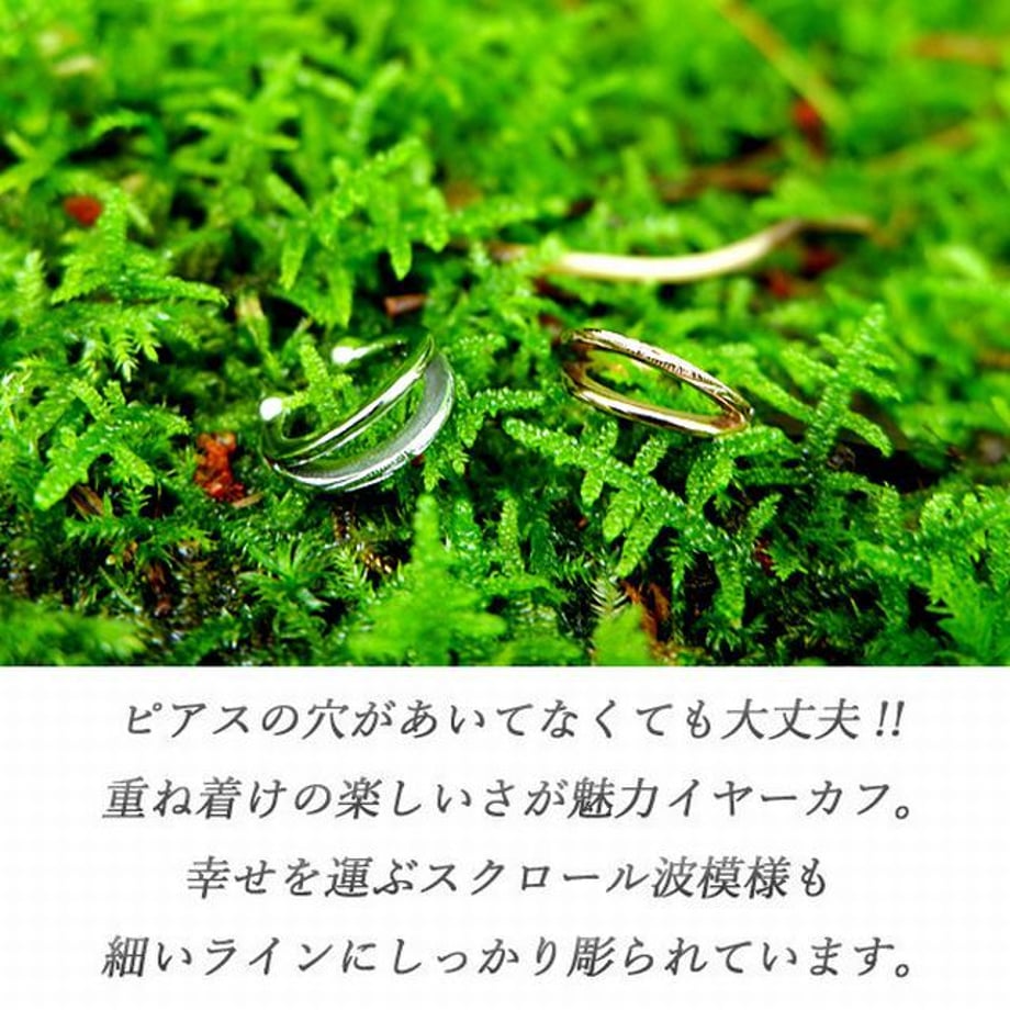5fb811ae935fcc39d4b2bcd6