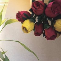 F様専用　４点