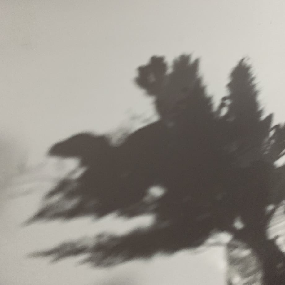 6044680aaaf04323dea1c1fd