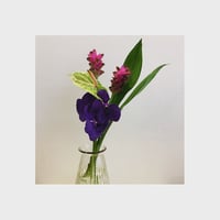 H様専用 エコバッグ