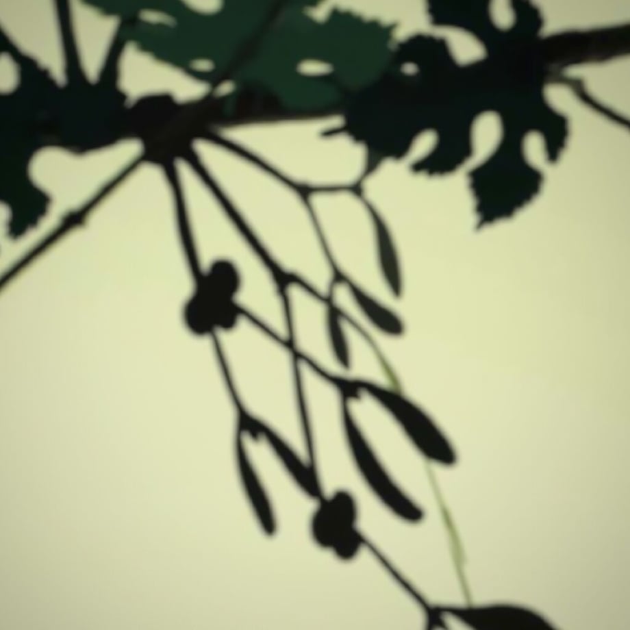 64b4fd9ce3848e007e1be9f0