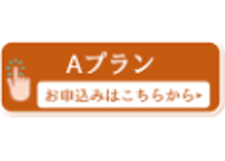 Aプラン/ターゲティング広告